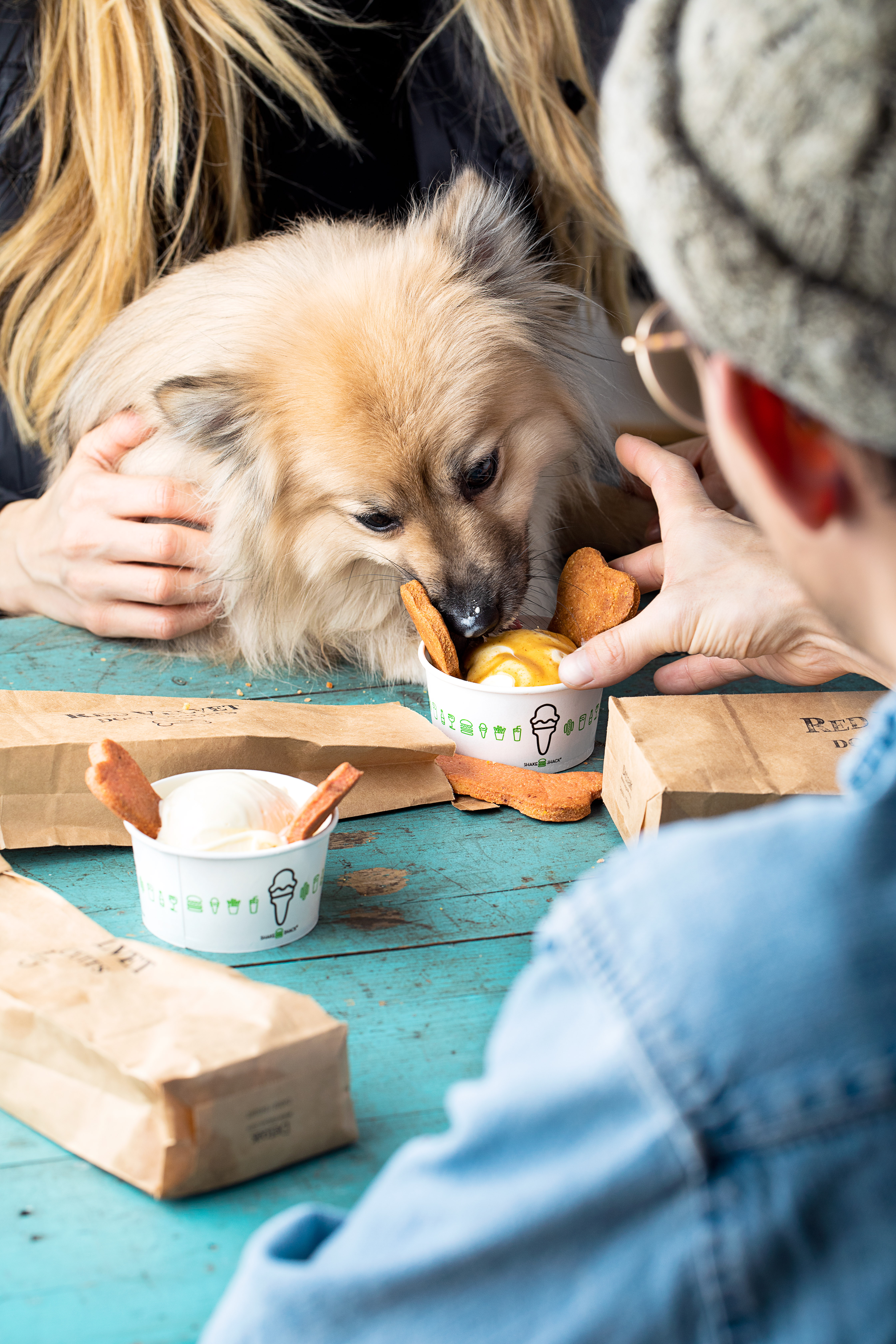 is shake shack dog friendly